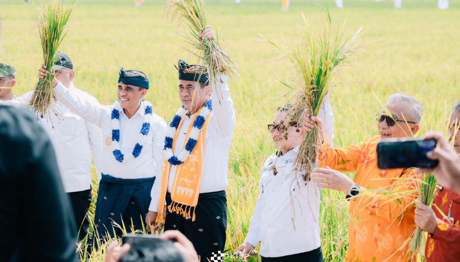 Banggai Siapkan 15.000 Hektare Sawah untuk Panen hingga November